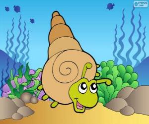 Puzzle Escargot de mer