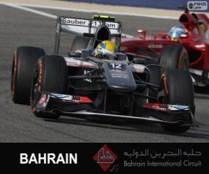 Puzzle Esteban Gutierrez - Sauber - 2013 Bahrain International Circuit