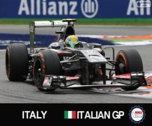 Puzzle Esteban Gutiérrez - Sauber - Monza, 2013