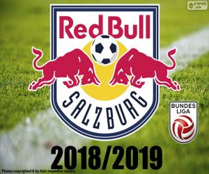 Puzzle FC Salzburg, Bundesliga 2019