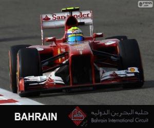 Puzzle Felipe Massa - Ferrari - Circuit International de Bahreïn 2013
