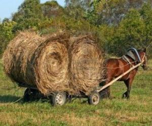 Puzzle Fermier avec un chariot hippomobile