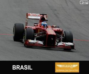 Puzzle Fernando Alonso - Ferrari - Grand Prix du Brésil 2013, 3e classés