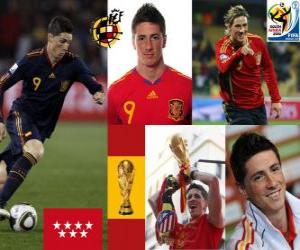 Puzzle Fernando Torres (Il nous faisait rêver) attaquant de l'équipe nationale Espagnol