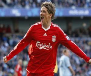 Puzzle Fernando Torres se félicitant un but