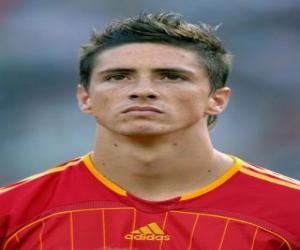 Puzzle Fernando Torres