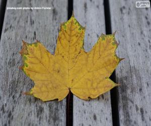 Puzzle Feuille jaunâtre en automne