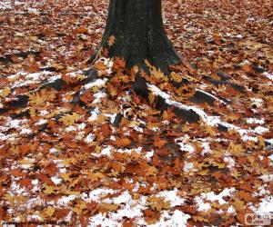 Puzzle Feuilles et neige