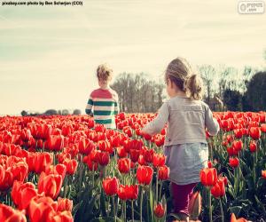 Puzzle Filles entre tulipes