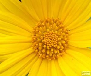 Puzzle Fleur jaune