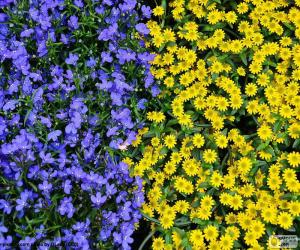Puzzle Fleurs bleues et jaunes