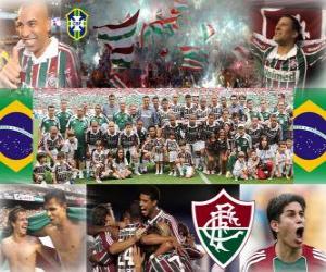 Puzzle Fluminense Football Club champion de l'édition 2010 du Championnat du Brésil