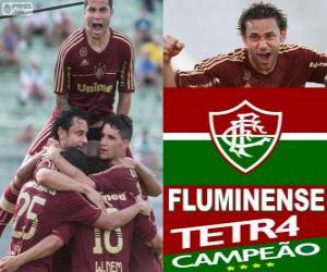Puzzle Fluminense Football Club champion de l'édition 2012 du Championnat du Brésil