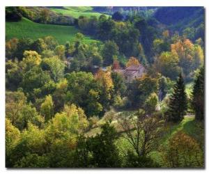 Puzzle Forêt