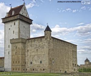 Puzzle Fort d'Hermann, Estonie