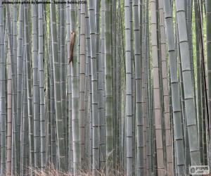 Puzzle Forêt de bambous japonais