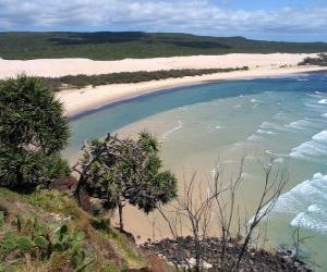 Puzzle Fraser Island, l'île de sable est de 122 kilomètres de long et est le plus grand de son genre. Australie.