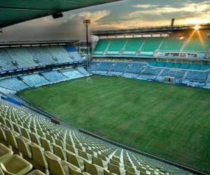 Puzzle Free State Stadium (45.058), Mangaung - Bloemfontein