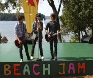 Puzzle Frères Shane (Joe Jonas), Nate (Nick Jonas) et Jason Gray (Kevin Jonas) à chanter à le Beach Jam du Camp Rock