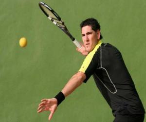 Puzzle Frontenis joueur prêt pour un coup