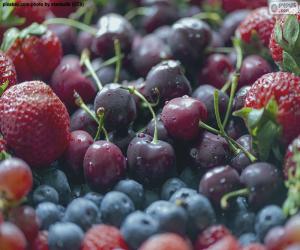 Puzzle Fruits des bois