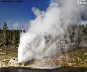 Puzzle Geyser