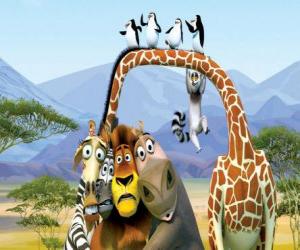Puzzle Gloria l'hippopotame, Melman la girafe, Alex le lion, Marty le zèbre avec d'autres protagonistes de les aventures