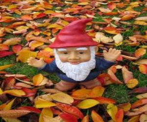 Puzzle Gnome ou nain