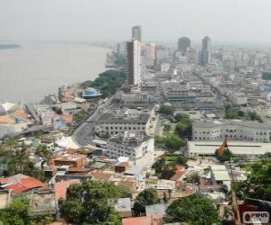 Puzzle Guayaquil, Équateur