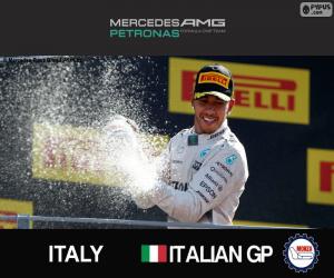 Puzzle Hamilton, GP d'Italie 2015