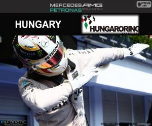 Puzzle Hamilton, GP Hongrie 2016