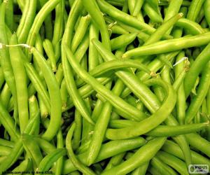 Puzzle Haricots verts