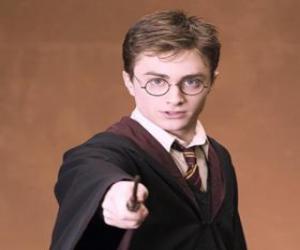 Puzzle Harry Potter avec sa baguette magique