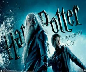 Puzzle Harry Potter et le Prince de sang-mêlé