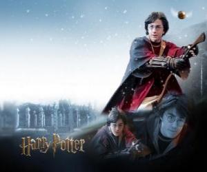 Puzzle Harry Potter jouant Quidditch avec son balai magique comme un chasseur en essayant d'attraper la balle