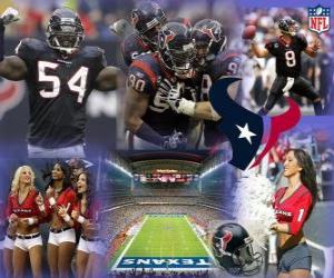 Puzzle Houston Texans