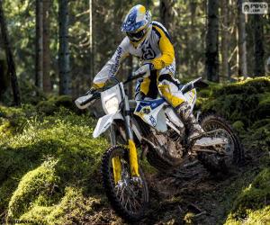 Puzzle Husqvarna-FE-501 2015