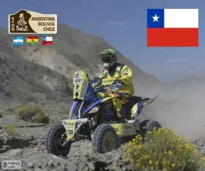 Puzzle Ignacio Casale, Dakar 2014