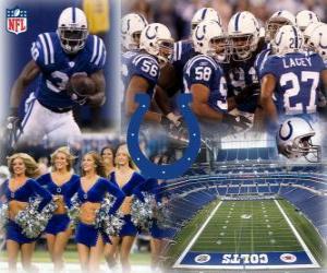 Puzzle Indianapolis Colts
