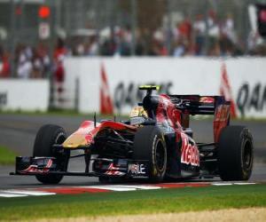 Puzzle Jaime Alguersuari - Toro Rosso - Melbourne 2010