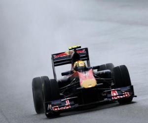 Puzzle Jaime Alguersuari - Toro Rosso - Shanghai 2010