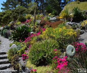 Puzzle Jardin botanique