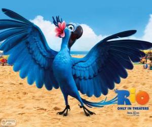 Puzzle Jewel est un ara belle femme dans le film de Rio