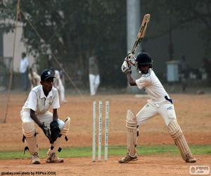 Puzzle Joueurs de cricket