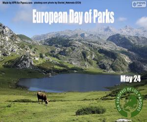 Puzzle Journée européenne des parcs naturels