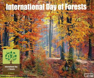 Puzzle Journée internationale des forêts