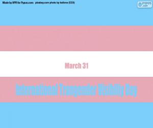 Puzzle Journée internationale de la visibilité des transgenres