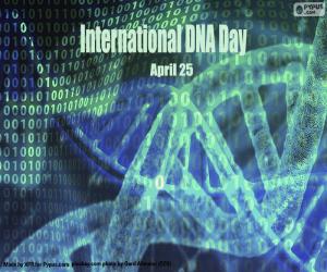 Puzzle Journée internationale de l’ADN