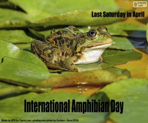 Puzzle Journée internationale pour la conservation des amphibiens