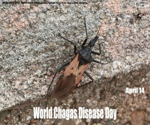 Puzzle Journée mondiale de la maladie de Chagas